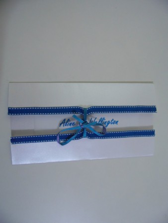 Modelo blueer